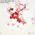Streptobacillus