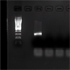 Herpesvirus 2, Human (Herpes Simplex Virus 2)