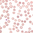 Babesia microti